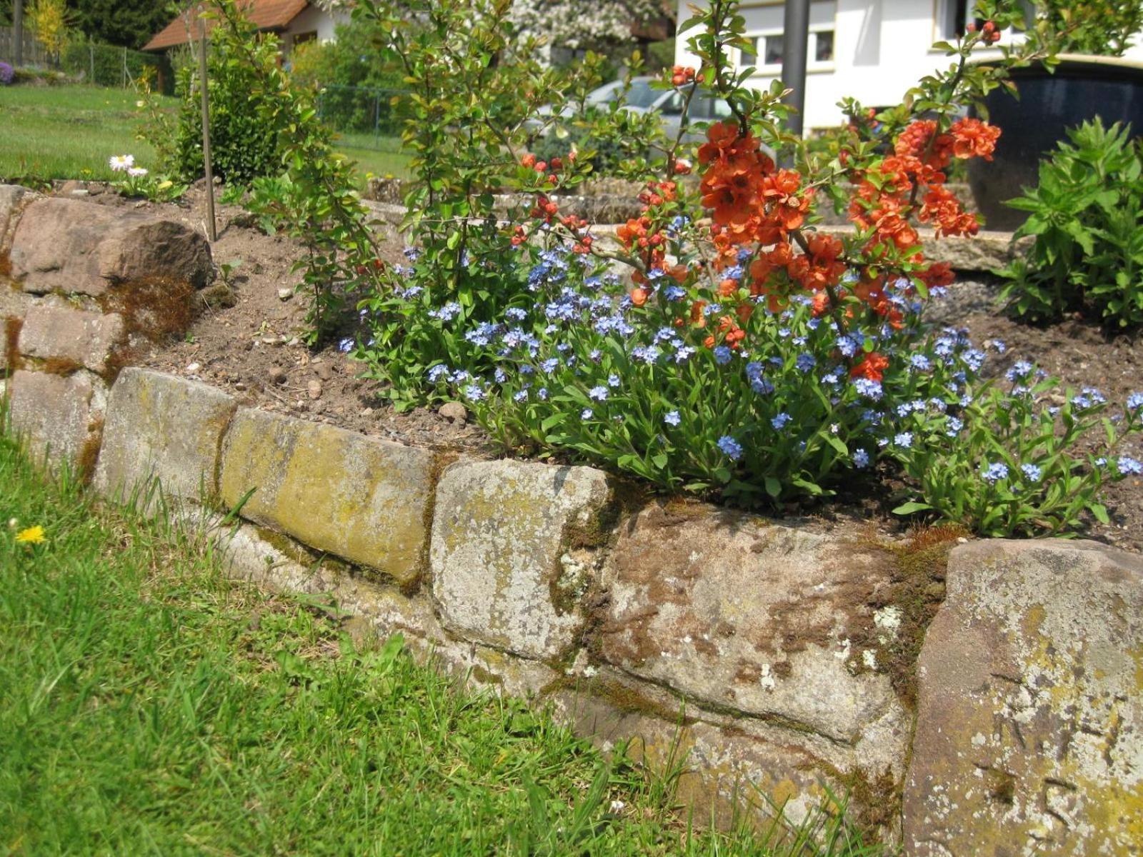 Haus Muehlgrund Apartment Bad Wildbad Exterior foto