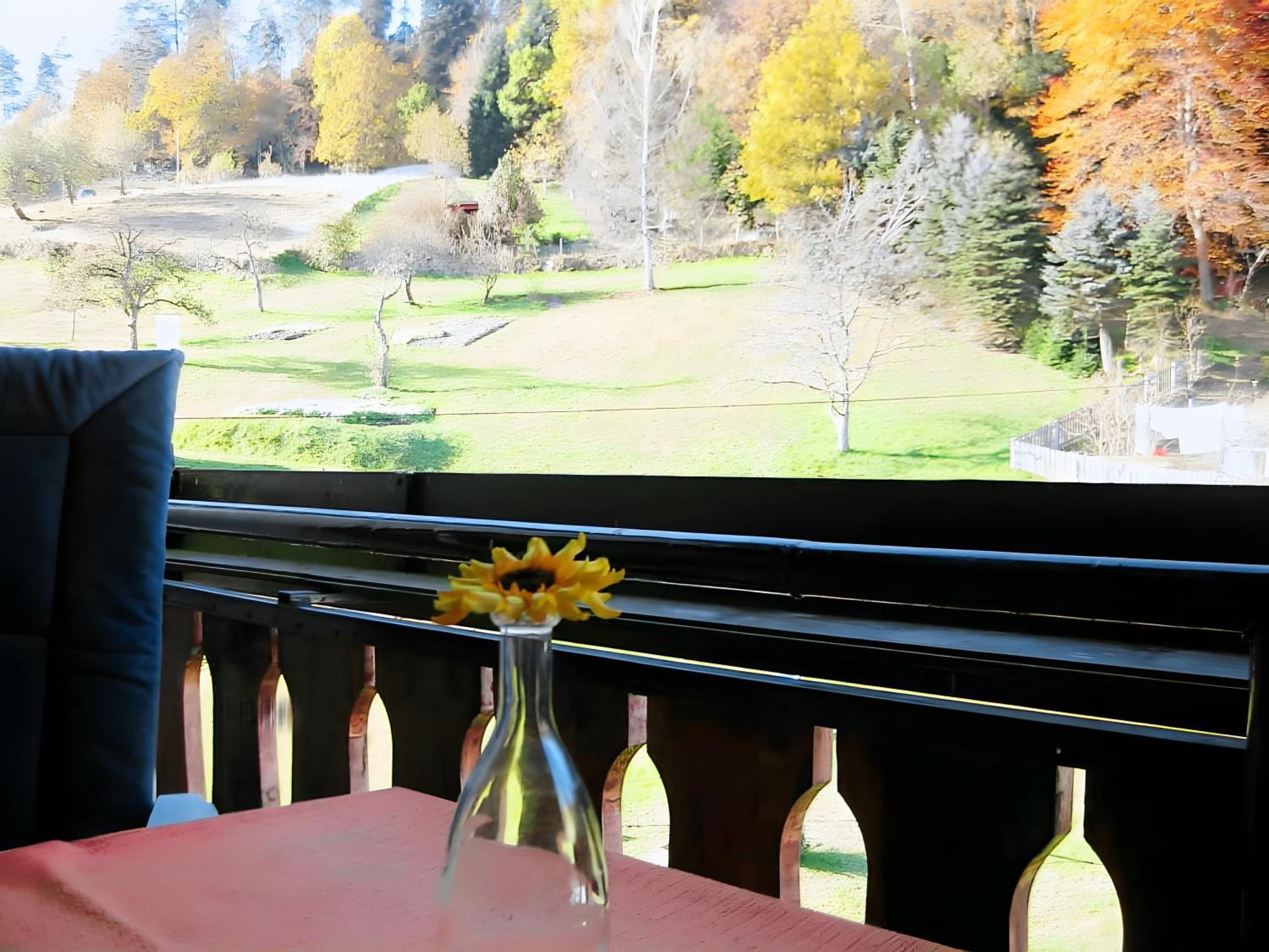 Haus Muehlgrund Apartment Bad Wildbad Exterior foto